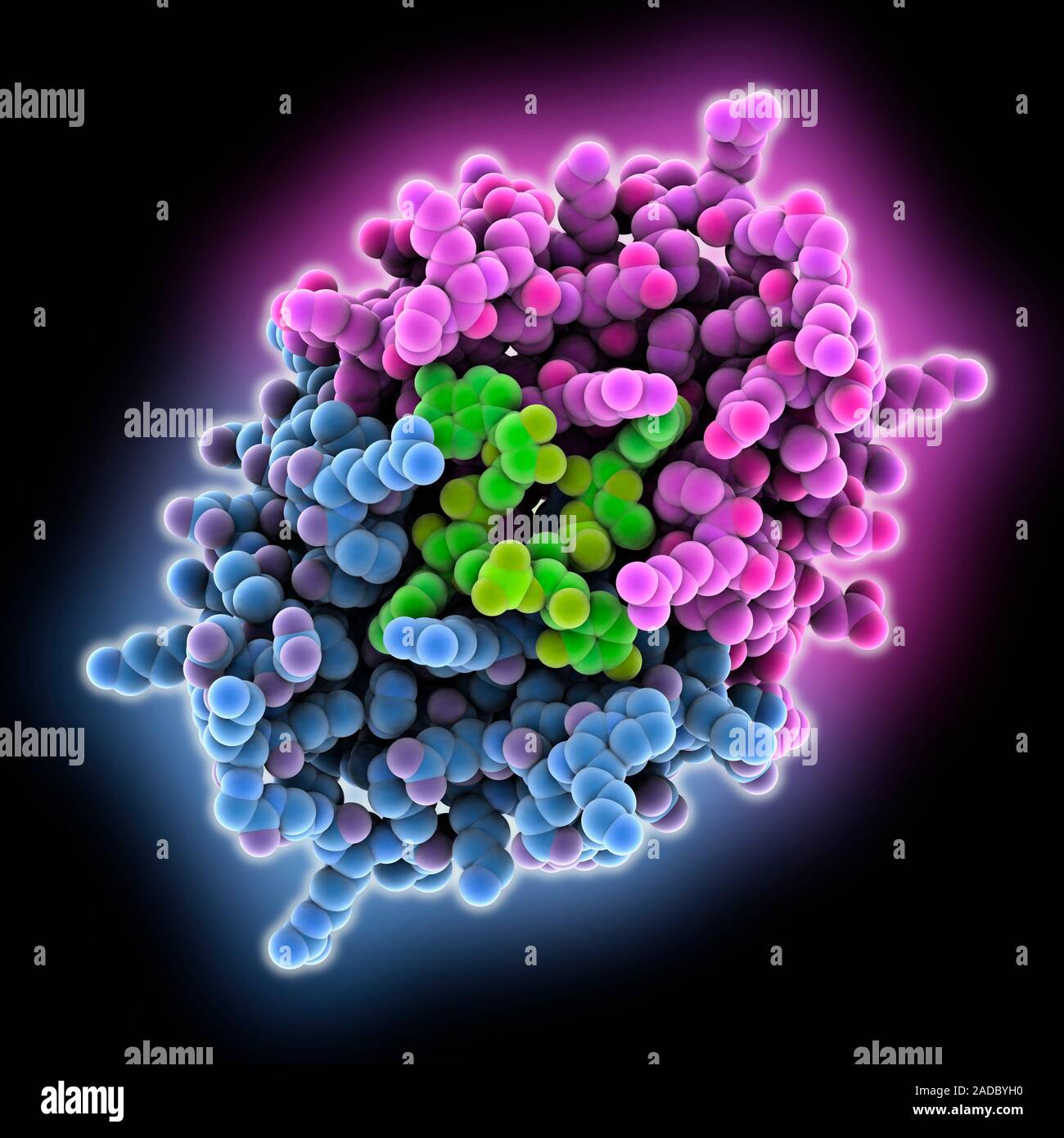 CRISPR-associated AfCsx3 RNA (ribonucleic acid) complex. Computer model ...