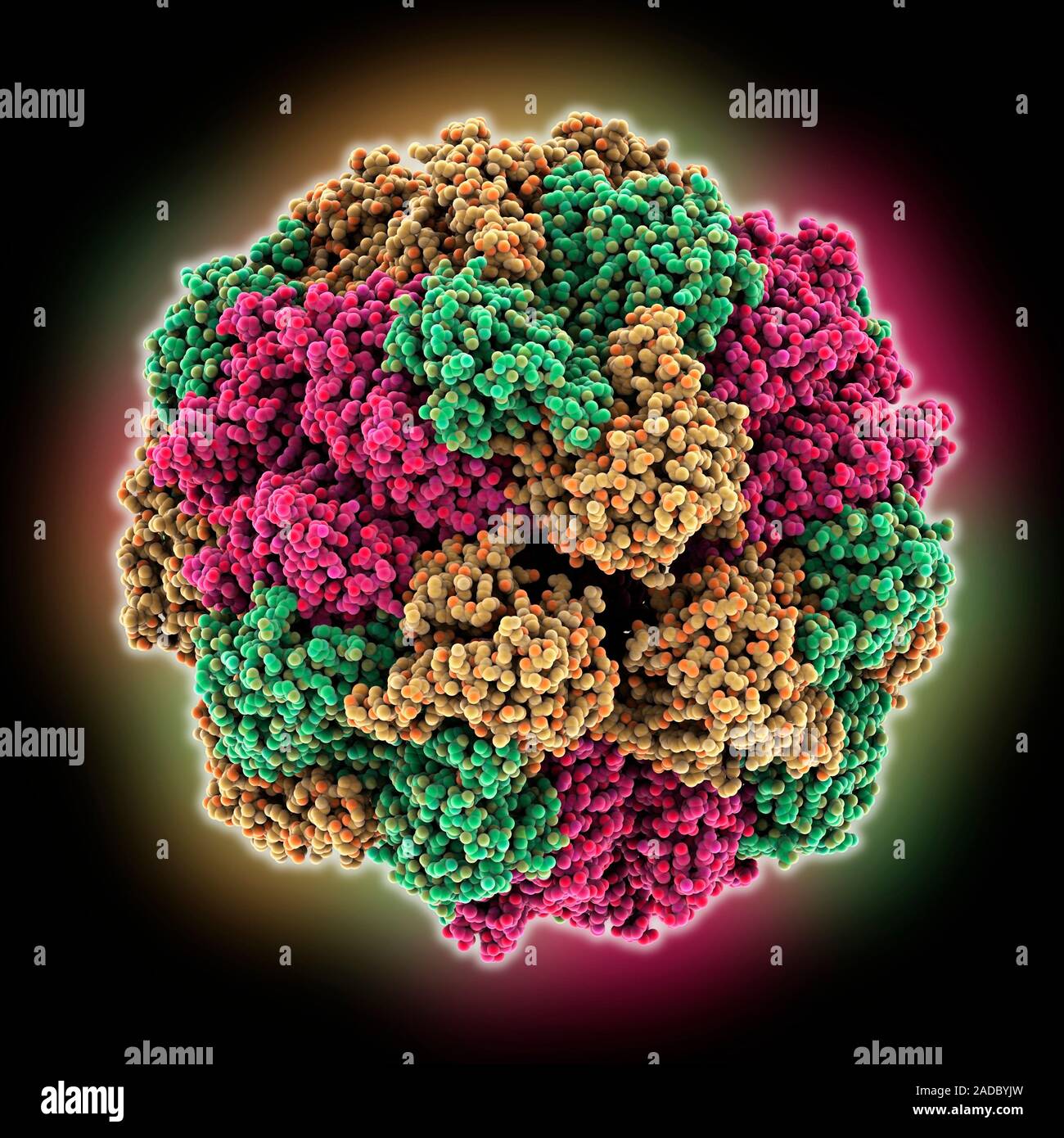 F420-reducing hydrogenase molecule. Computer model showing the ...