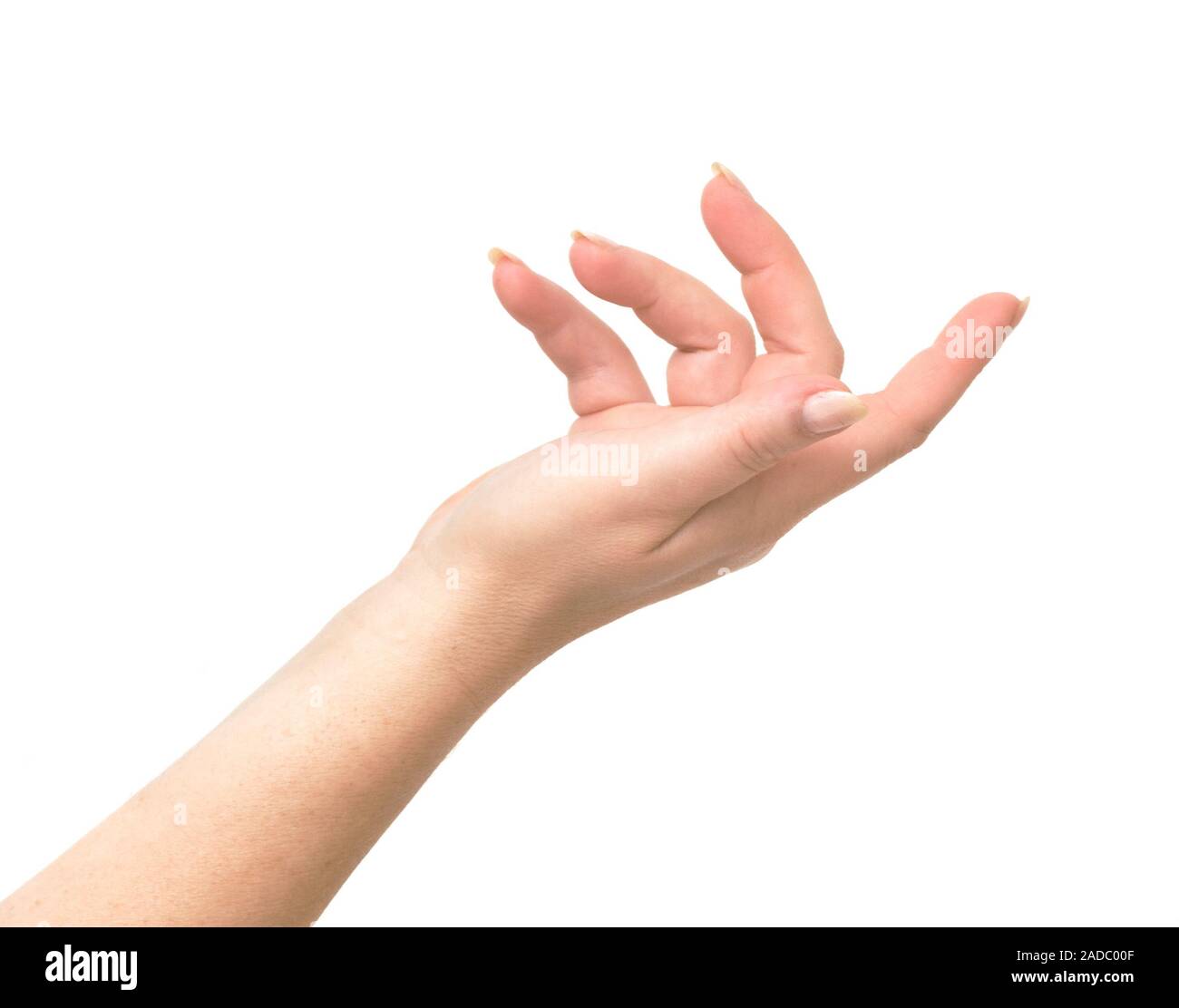 Womans' hand isolated on white background Stock Photo - Alamy
