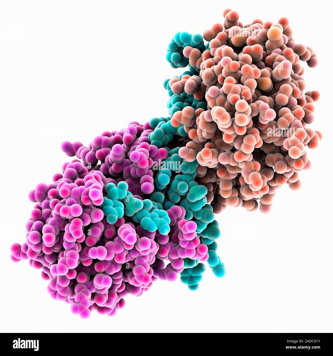 CRISPR Cas6b RNA/DNA (ribonucleic acid/deoxyribonucleic acid) complex ...