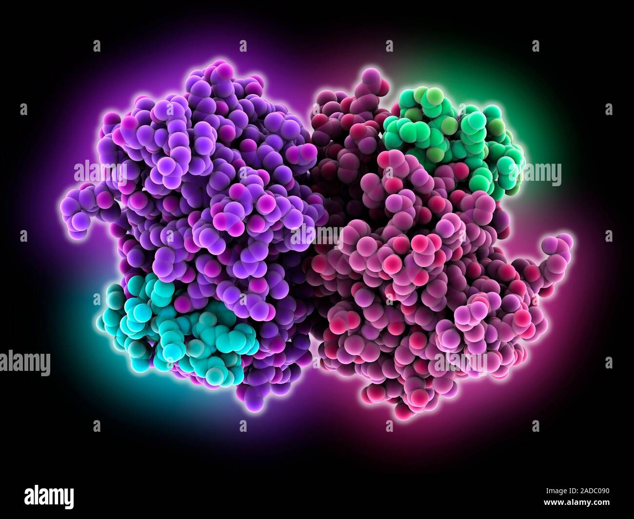 Betaselective liver X receptor agonist. Computer model showing the