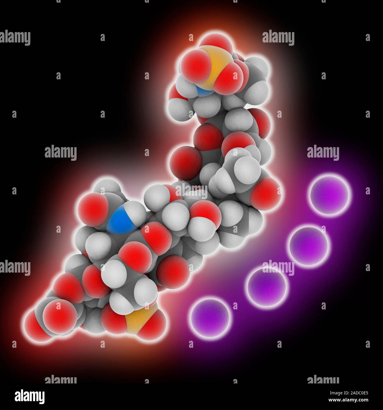 Enoxaparin sodium. Molecular model of the drug enoxaparin sodium (C42.H59.N3.Na4.O35.S2). This