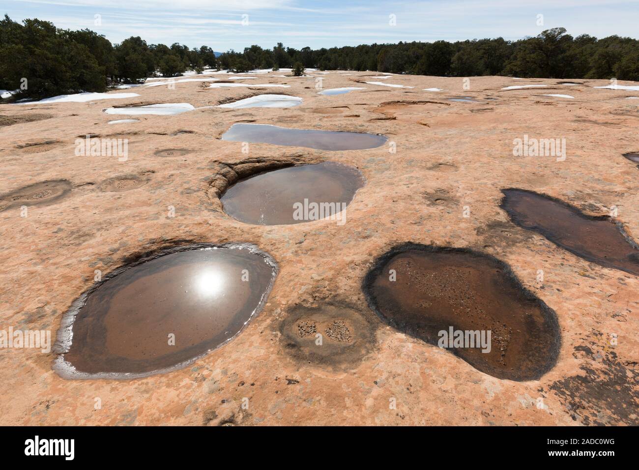 Potholes formed on horizontal sandstone surfaces due to biological ...