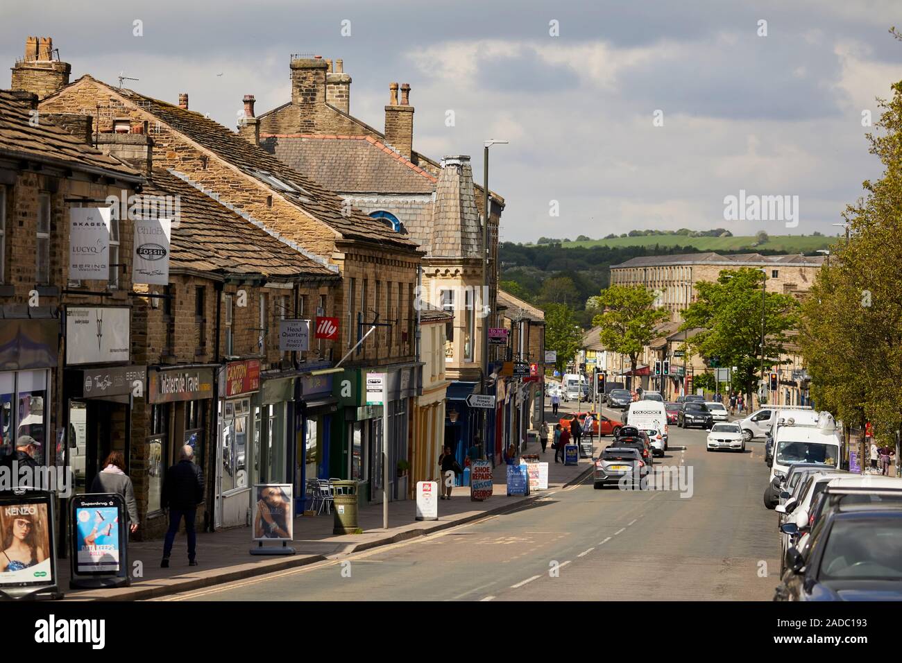 Wren building nest hires stock photography and images Alamy