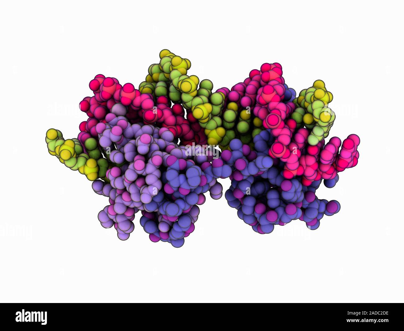 Yeast mating type transcription factors complexed with synthetic DNA