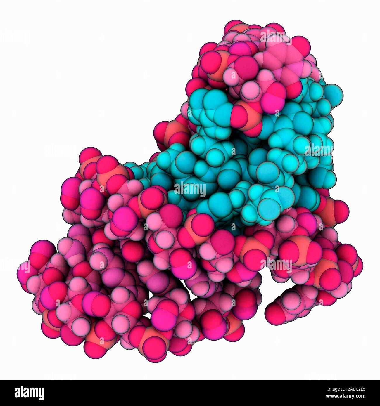 Bovine immunodeficiency virus (BIV) Tat peptide complexed with RNA