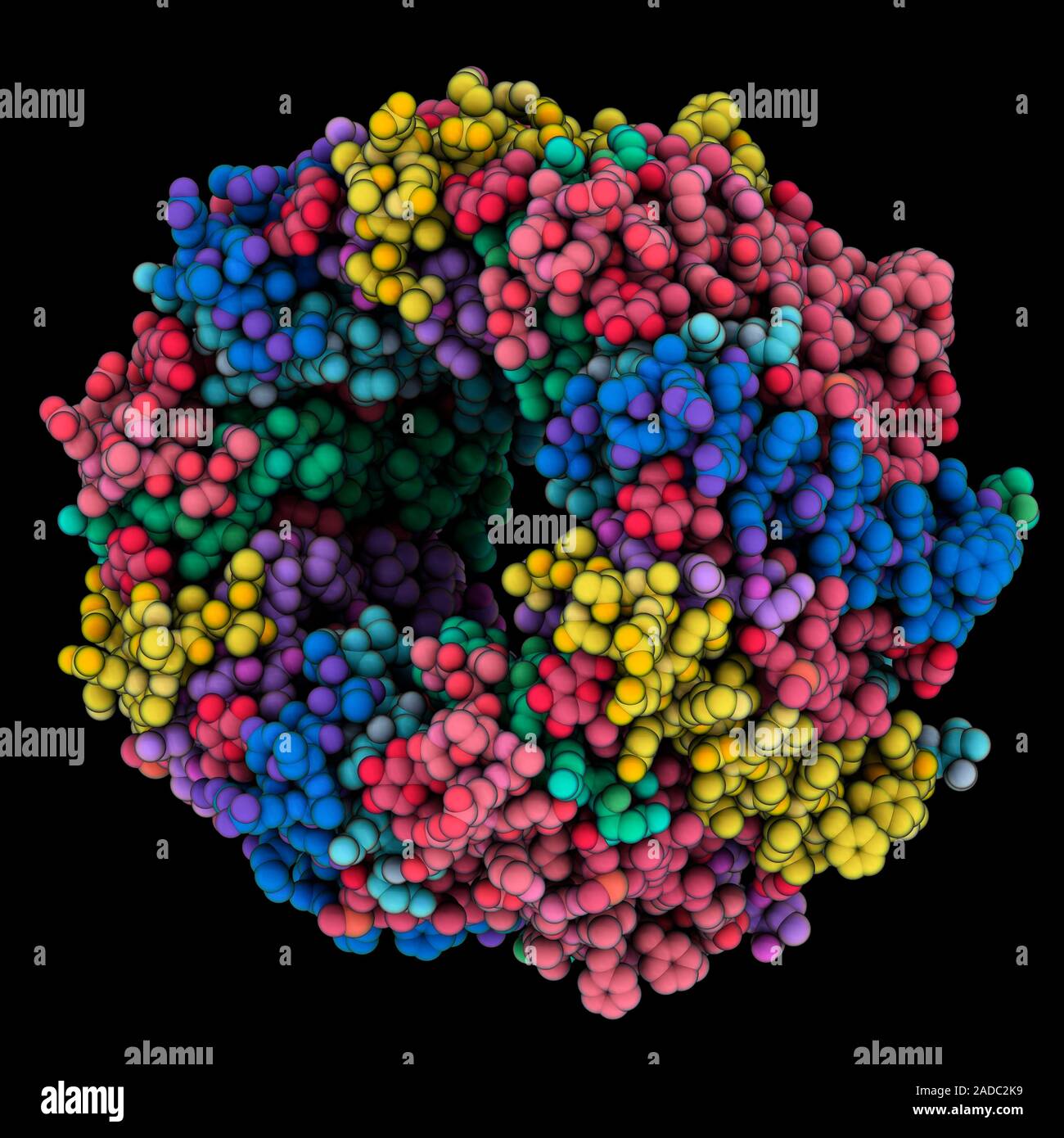 Bacterial light harvesting protein. Computer model showing the nonameric structure of the light