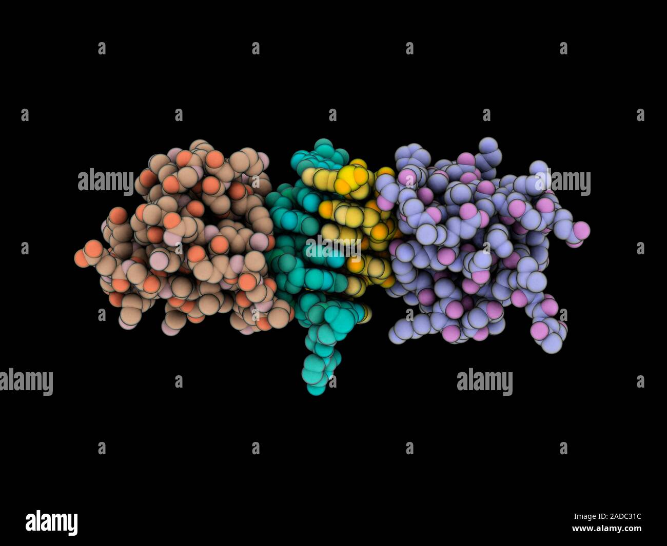 Human Z-RNA editing enzyme complexed with Z-RNA (Z-ribonucleic acid ...