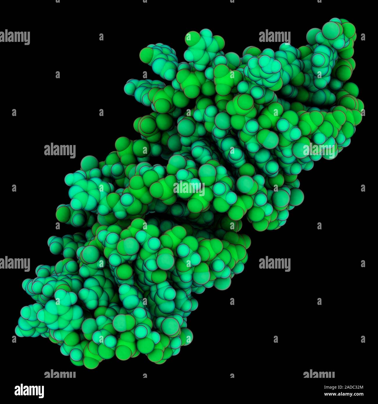 Retroviral MLV RNA (ribonucleic acid). Computer model showing the ...