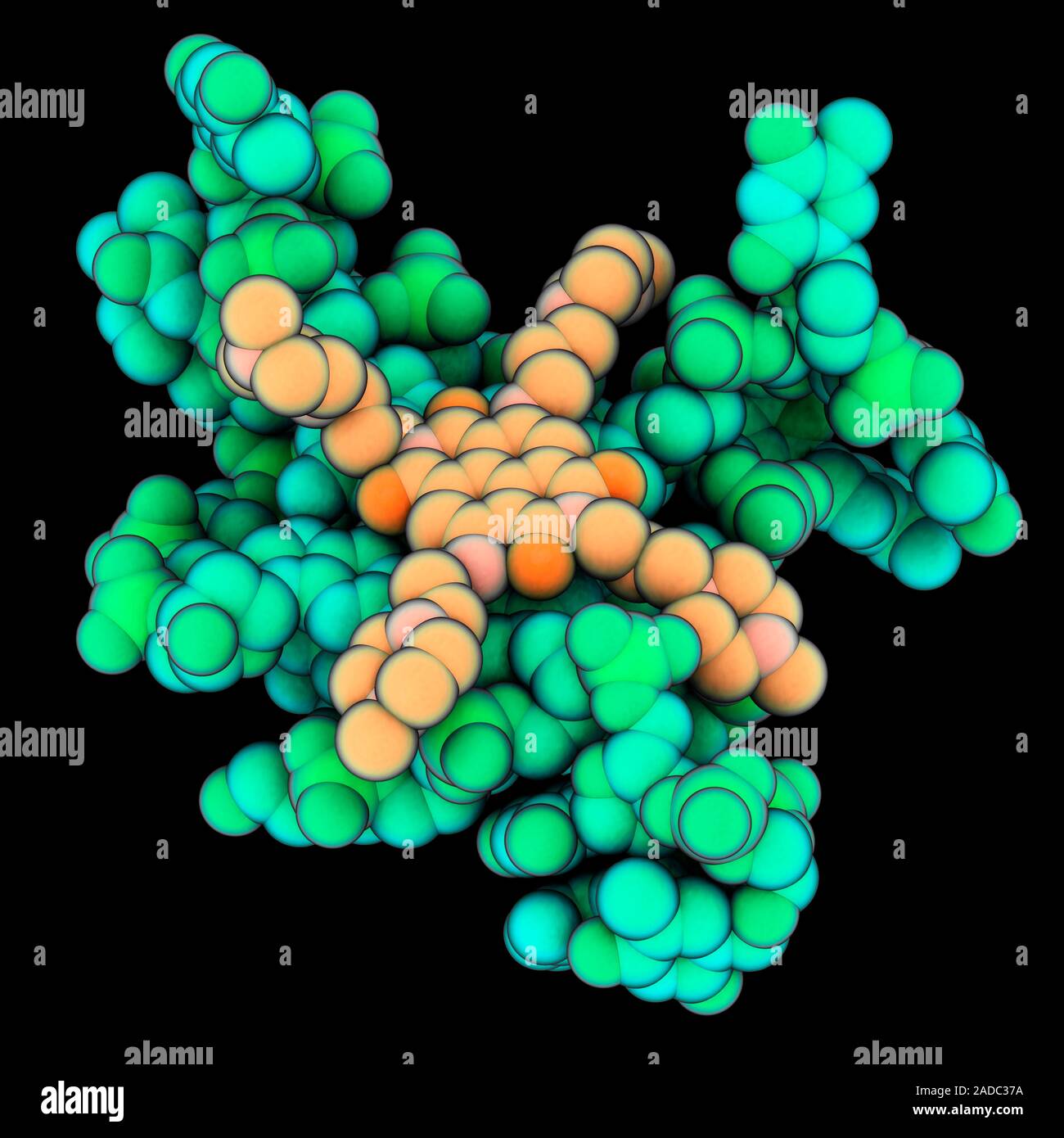Human telomeric DNA (deoxyribonucleic acid) quadruplex complexed with ...