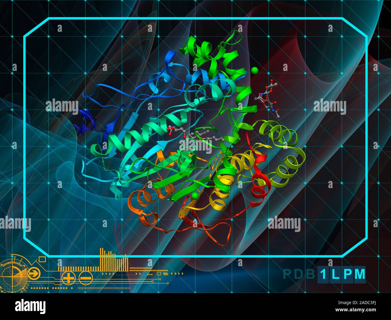 Lipase molecule, molecular model. Lipase is an enzyme that breaks