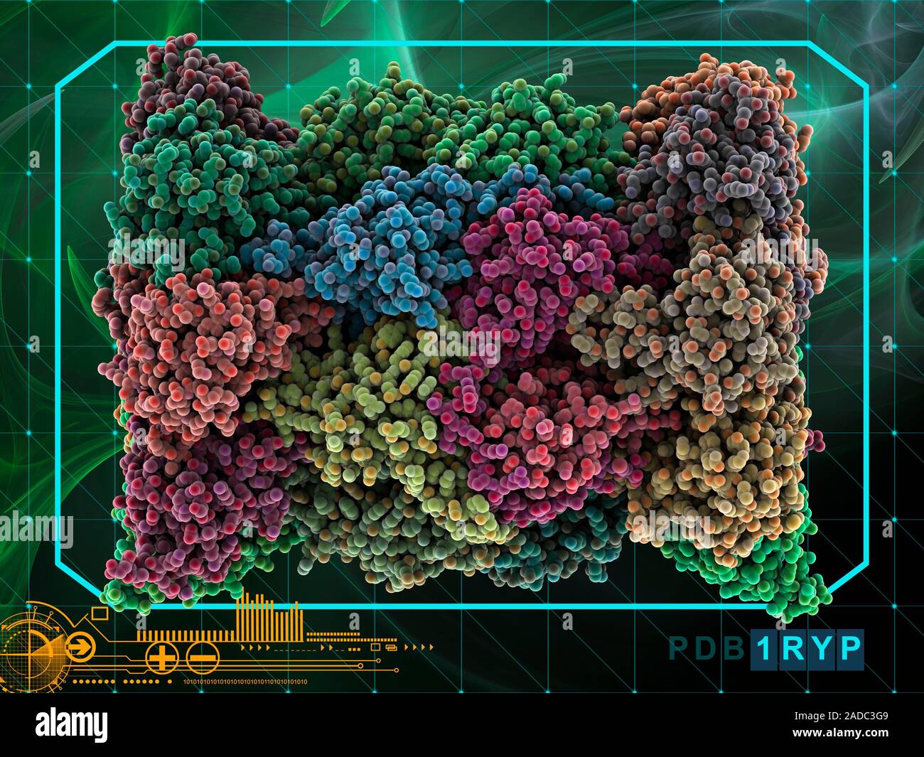 Yeast enzyme. Molecular model of an enzyme from baker's yeast