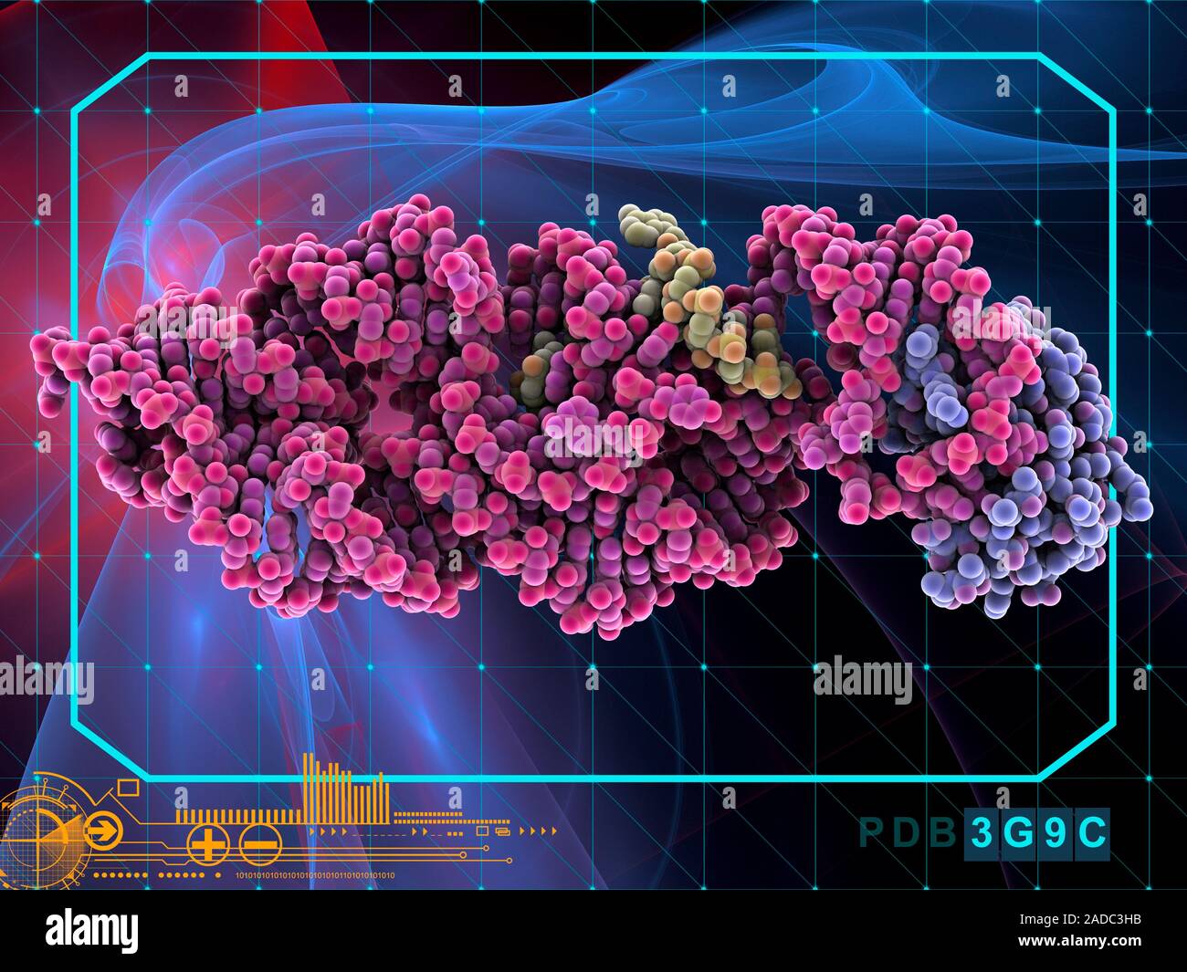 Anthrax bacillus glmS ribozyme. Molecular model of the glmS ribozyme ...