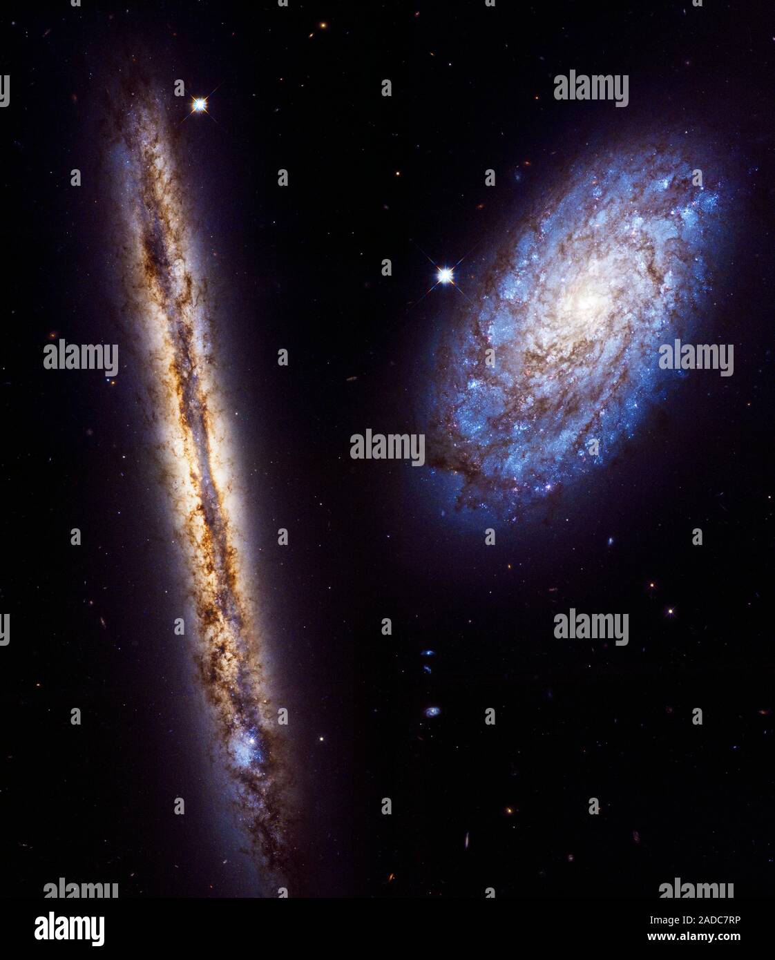 2 Spiral Galaxies