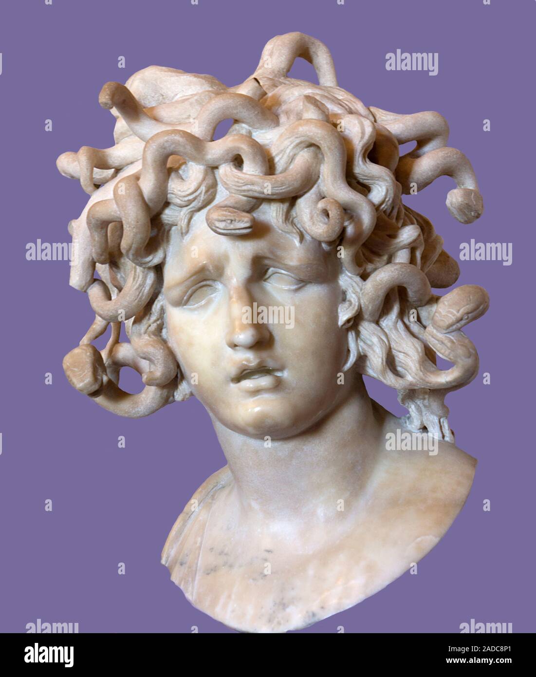 Marble bust of Medusa in the Baroque style of the 17th century by the ...