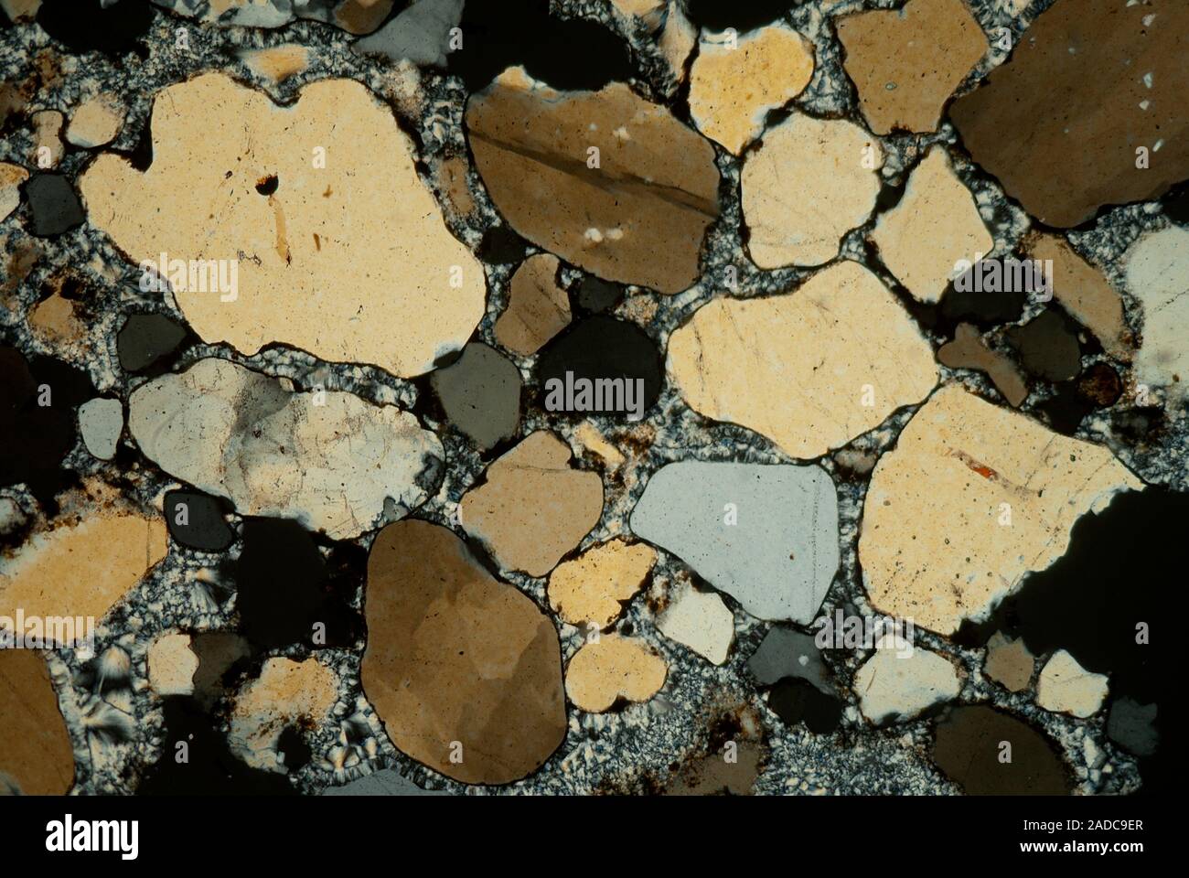 Rock Micrograph Polarised light micrograph of sandstone, or arenite. Sandstone is a ...