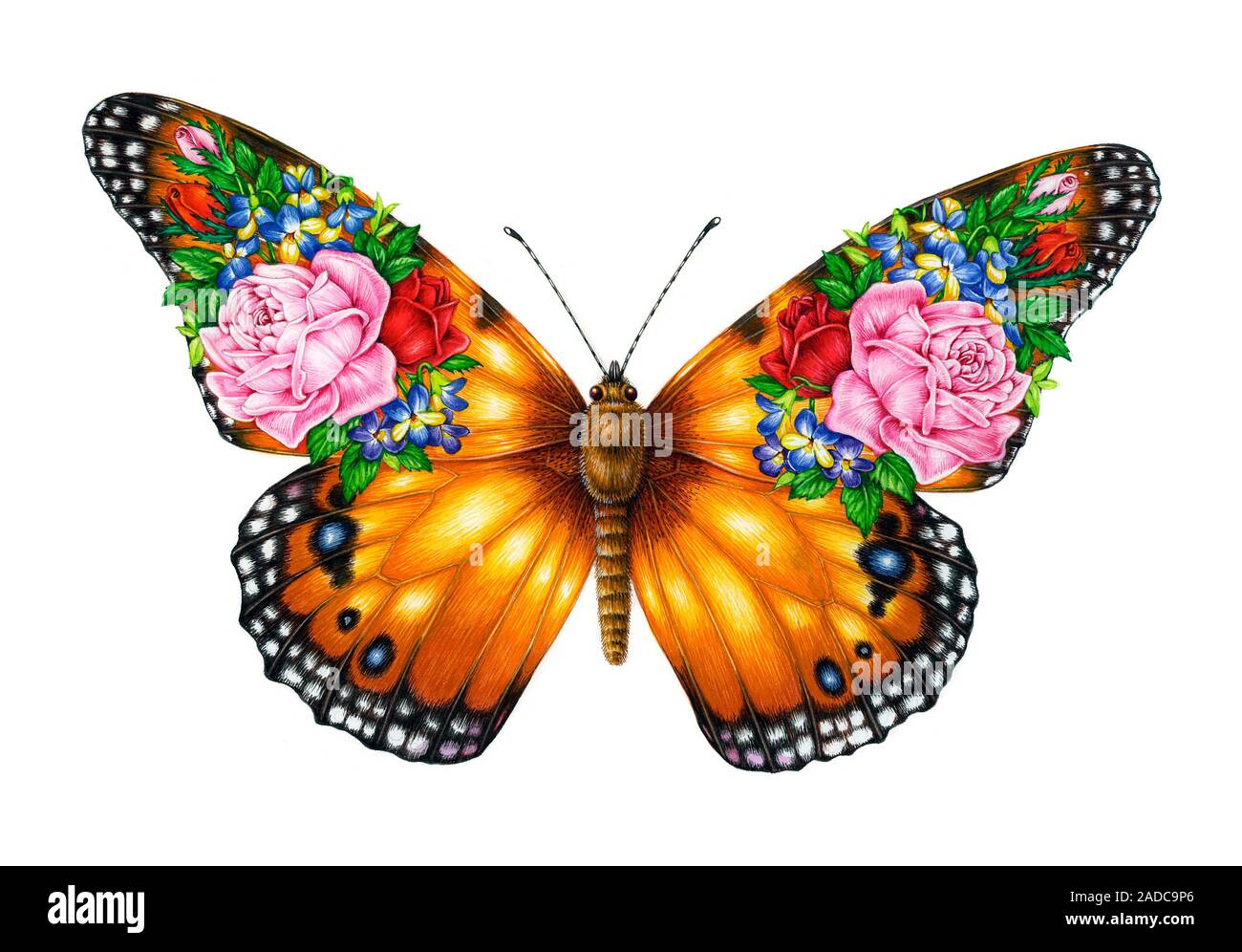 Bouquet butterfly. Illustration of bouquets of flowers on the wings of ...