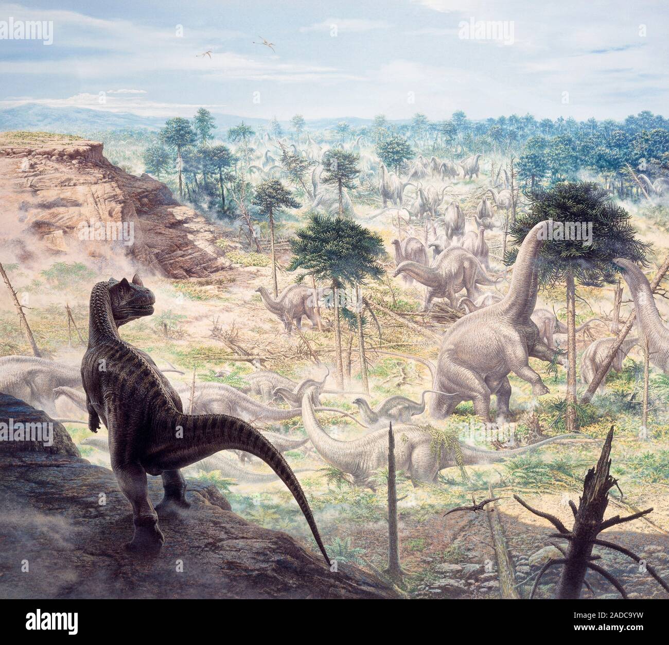 2 период мезозойской эры