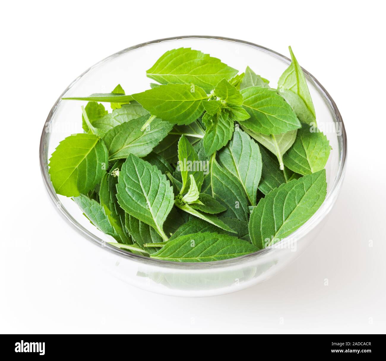 Fresh mint leaves in glass bowl isolated on white background with clipping path Stock Photo