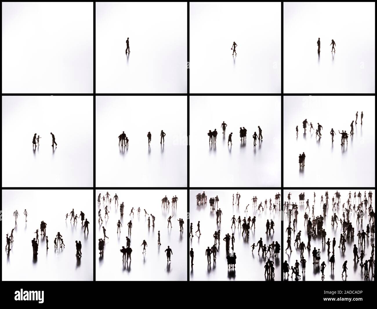Fibonacci propagation, conceptual image. Three-by-four grid, showing ...