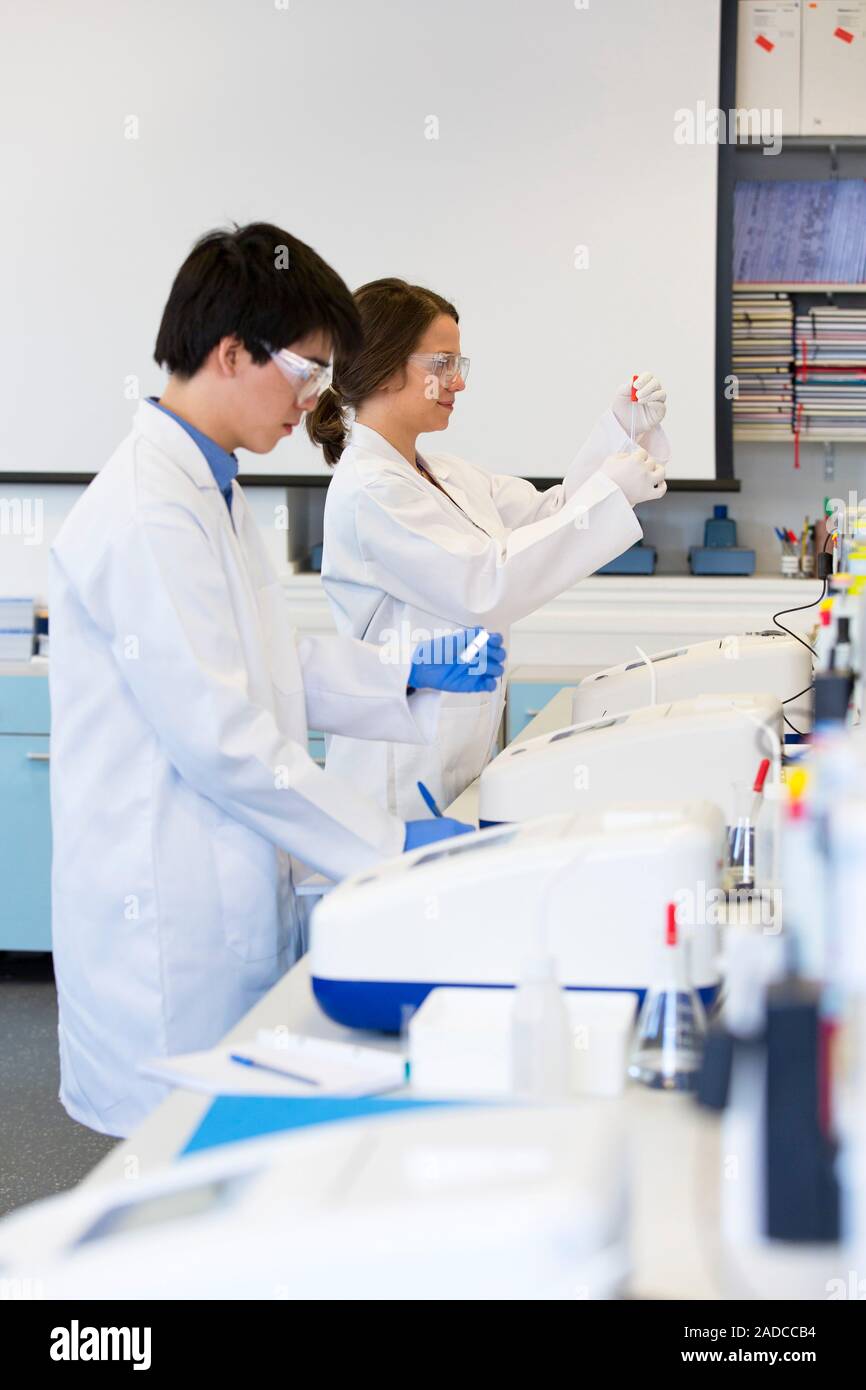 Chemistry students in an undergraduate teaching laboratory carrying out experiments using UV spectrometers. Stock Photo