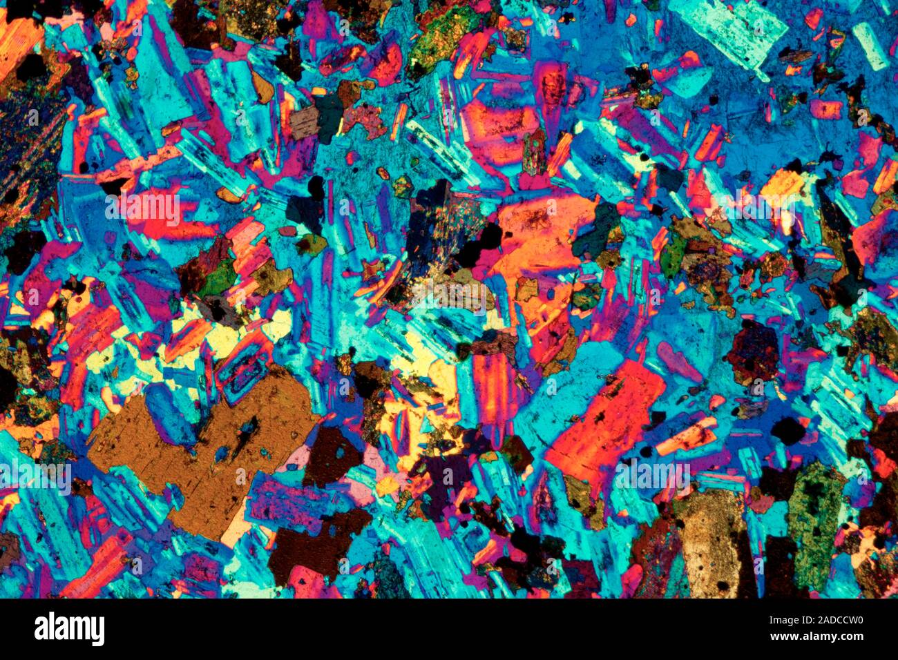 Diorite from Italy. Polarised light micrograph (PLM) of a thin section ...