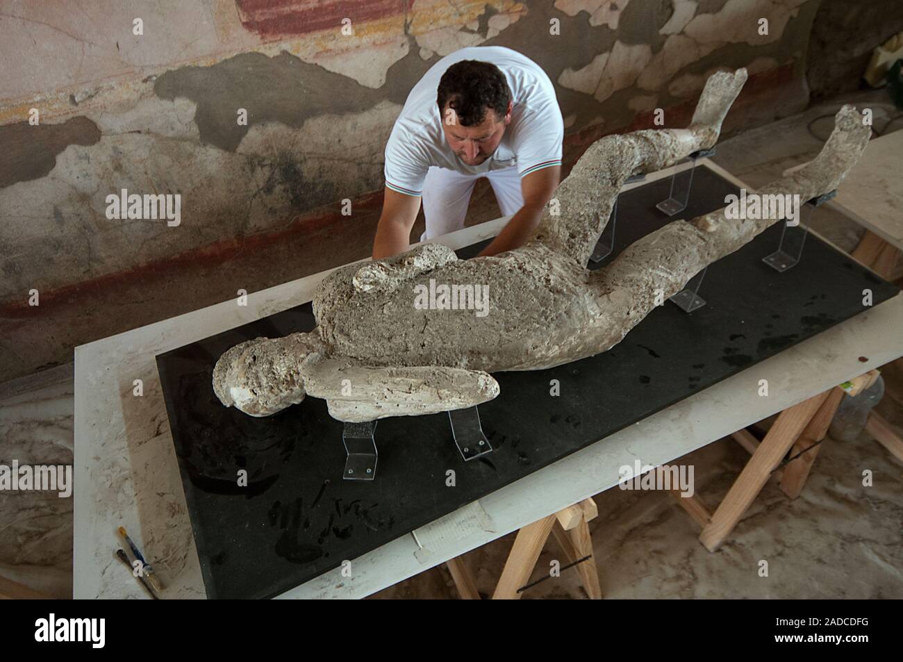 preservation-work-being-carried-out-on-a-body-cast-of-a-victim-of-the