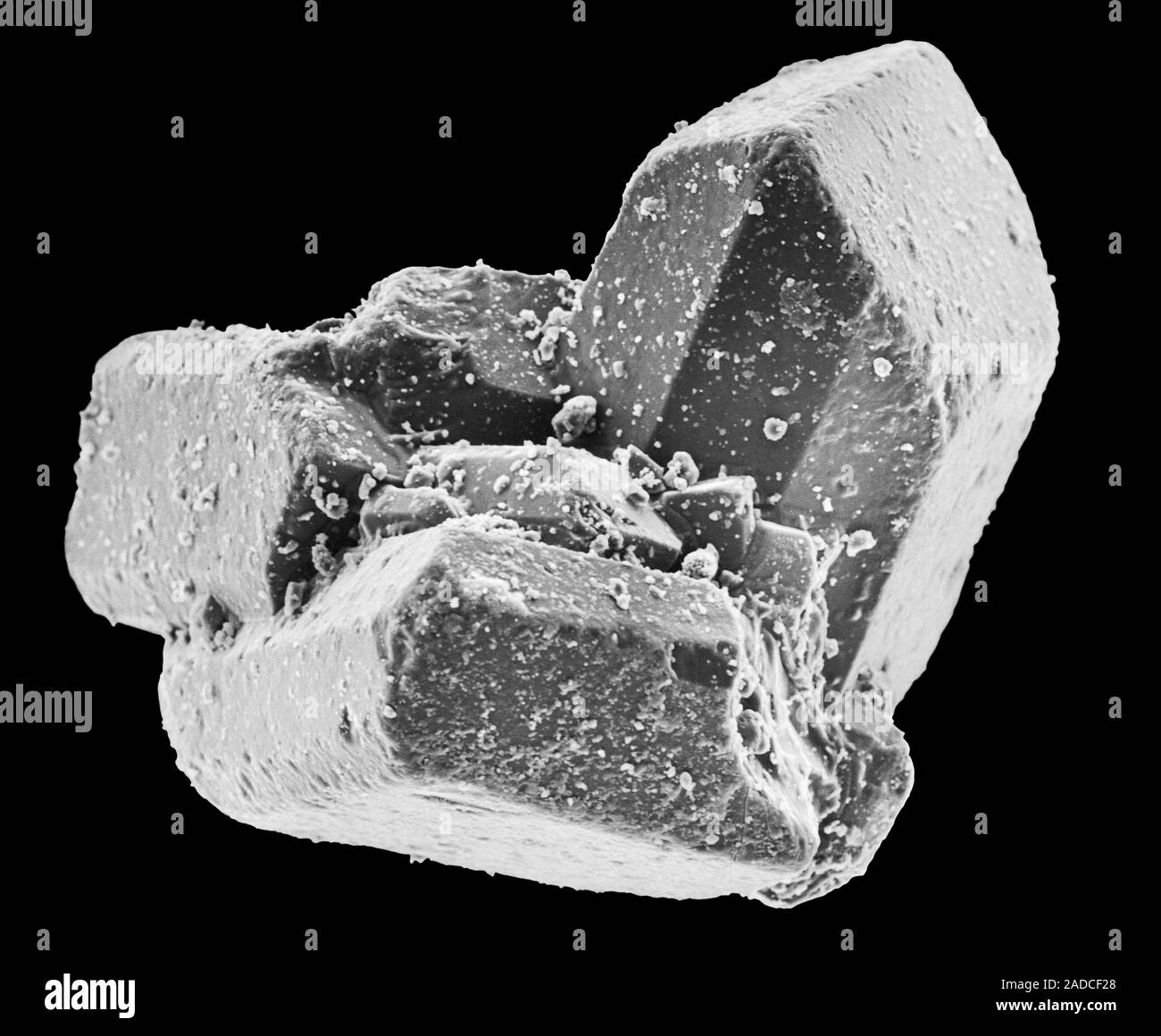 Scanning electron micrograph (SEM) of Table sugar (sucrose) crystals