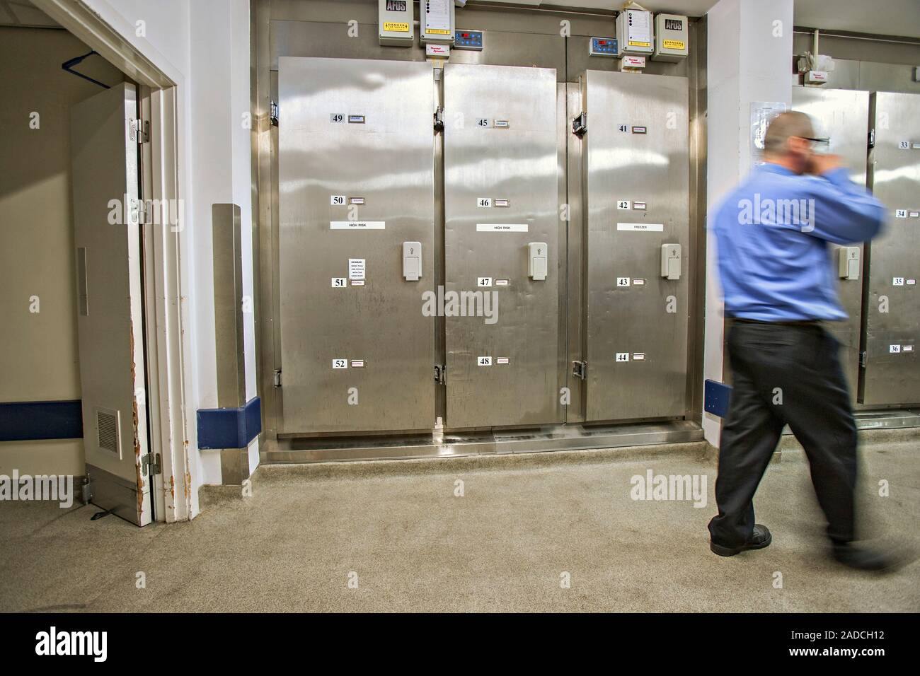 Mortuary. Mortuary worker by refrigerated chambers used to hold dead