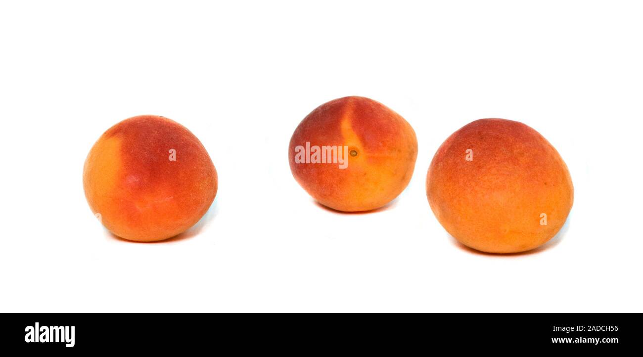 apricots isolated on white background Stock Photo - Alamy