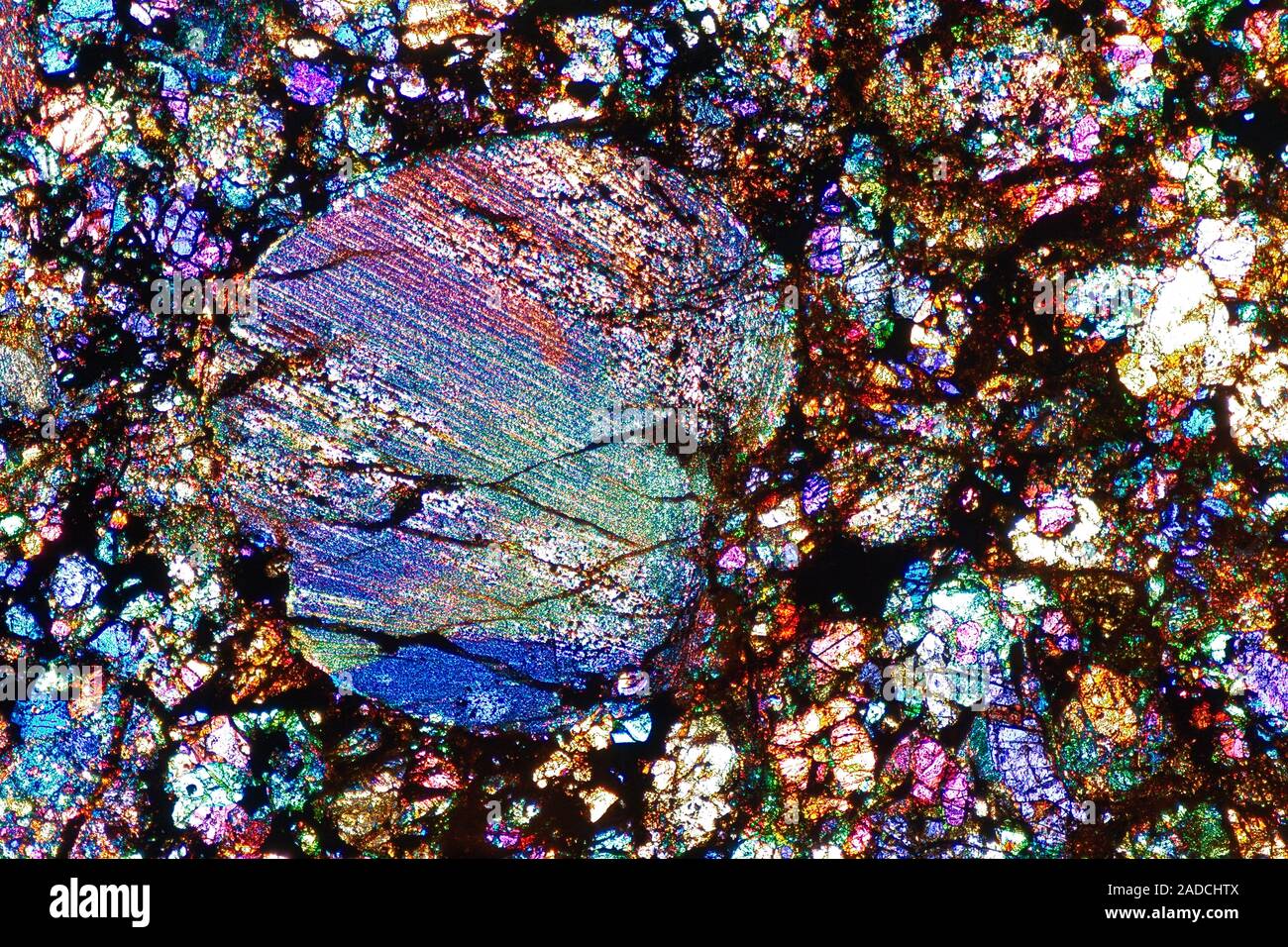 Polarised light micrograph of a thin section microscopic slide of the ...