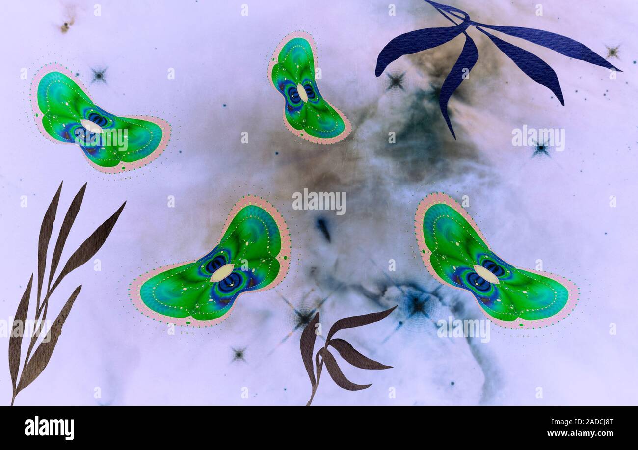 Abstract image of moths on a light background. Stock Photo