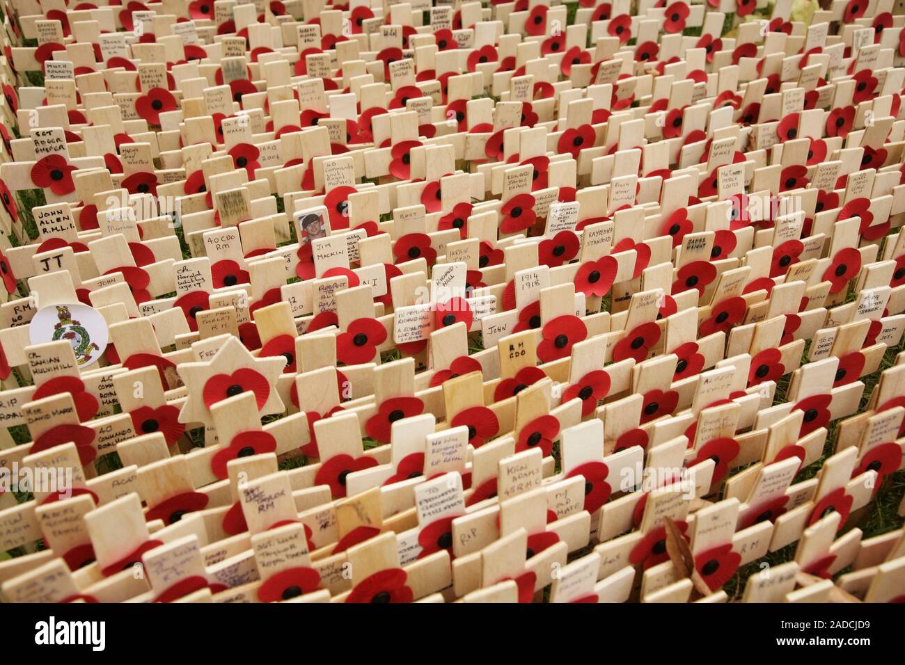 Poppies at the Royal British Legion Field of Remembrance, Westminster Abbey, London, UK. Stock Photo