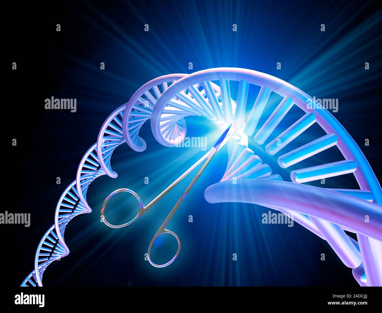 Genome editing. Conceptual computer artwork of a DNA (deoxyribonucleic ...