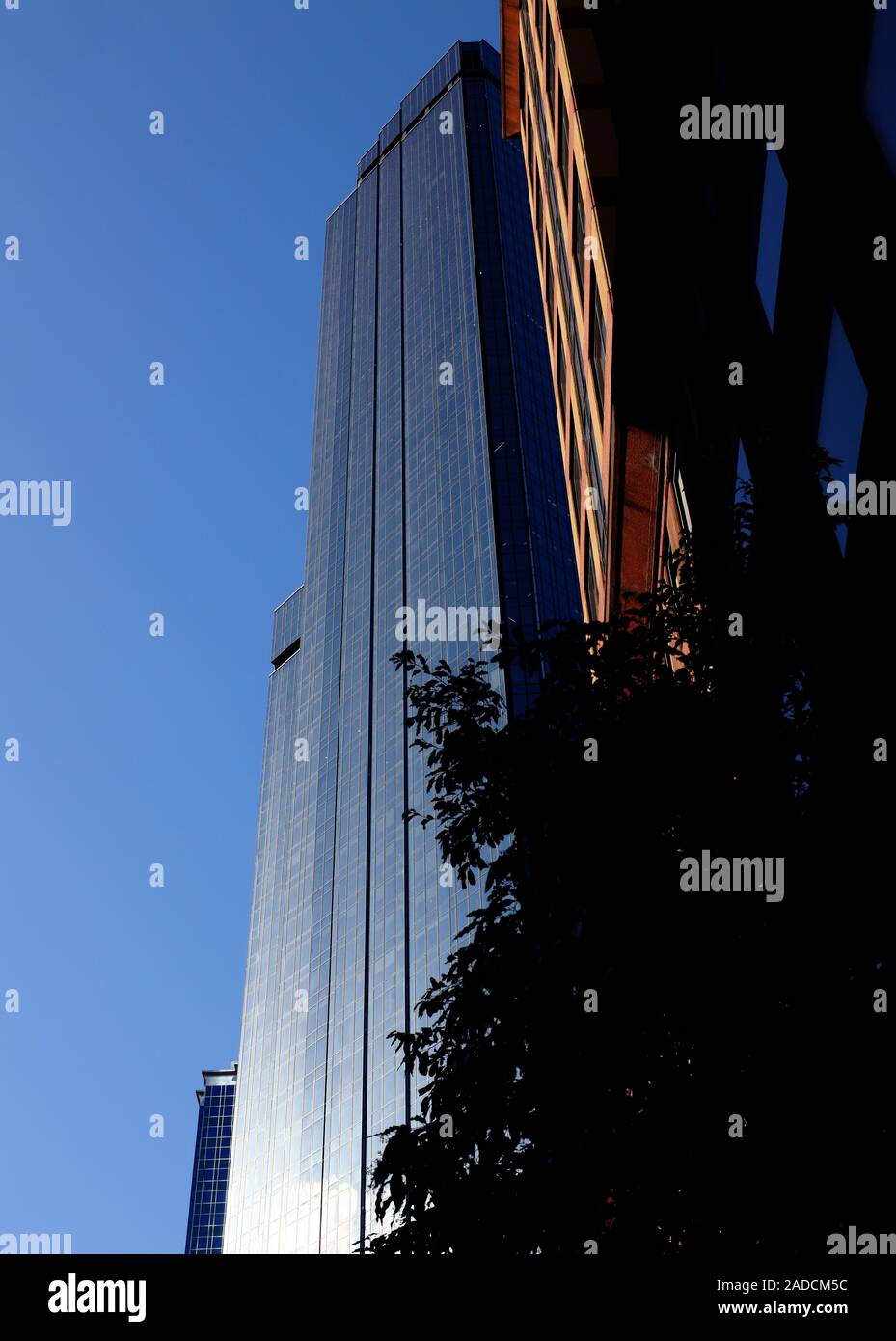 The Rialto Towers, Melbourne Stock Photo