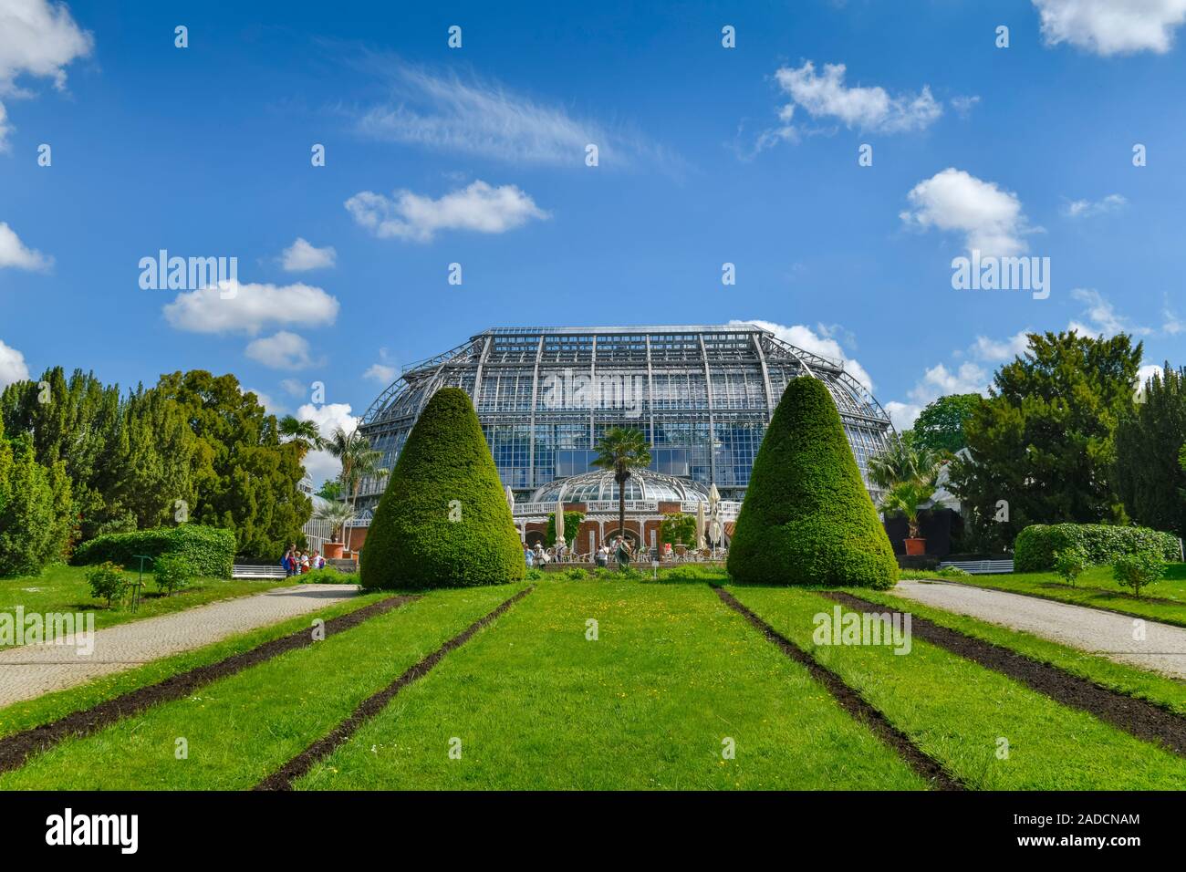 Großes Tropenhaus, Botanischer Garten, Königin-Luise-Straße, Lichterfelde, Steglitz-Zehlendorf, Berlin, Deutschland Stock Photo
