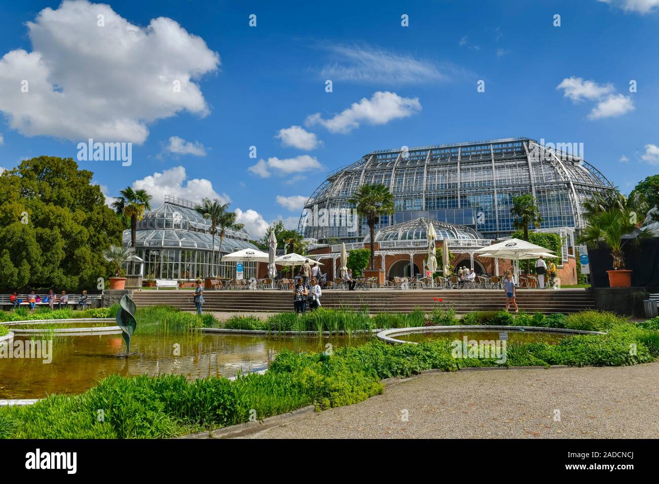 Großes Tropenhaus, Botanischer Garten, KöniginLuiseStraße