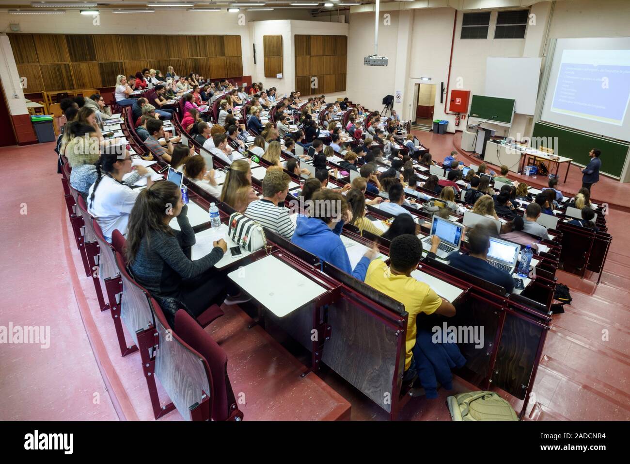 Students attending a lecture. Stock Photo