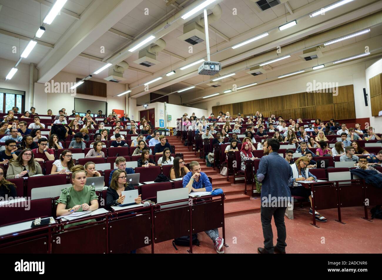 Students attending a lecture. Stock Photo