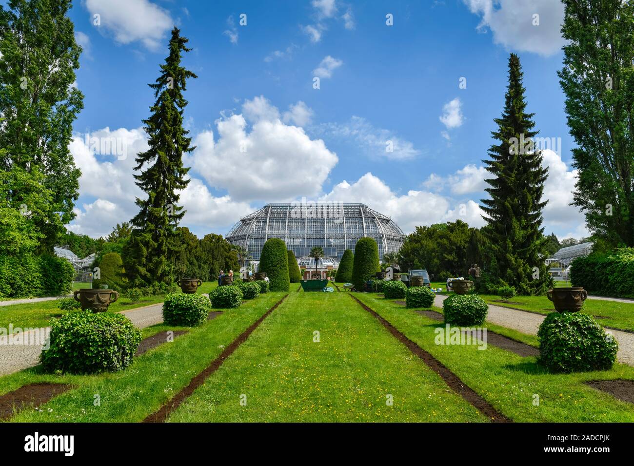 Großes Tropenhaus, Botanischer Garten, KöniginLuiseStraße