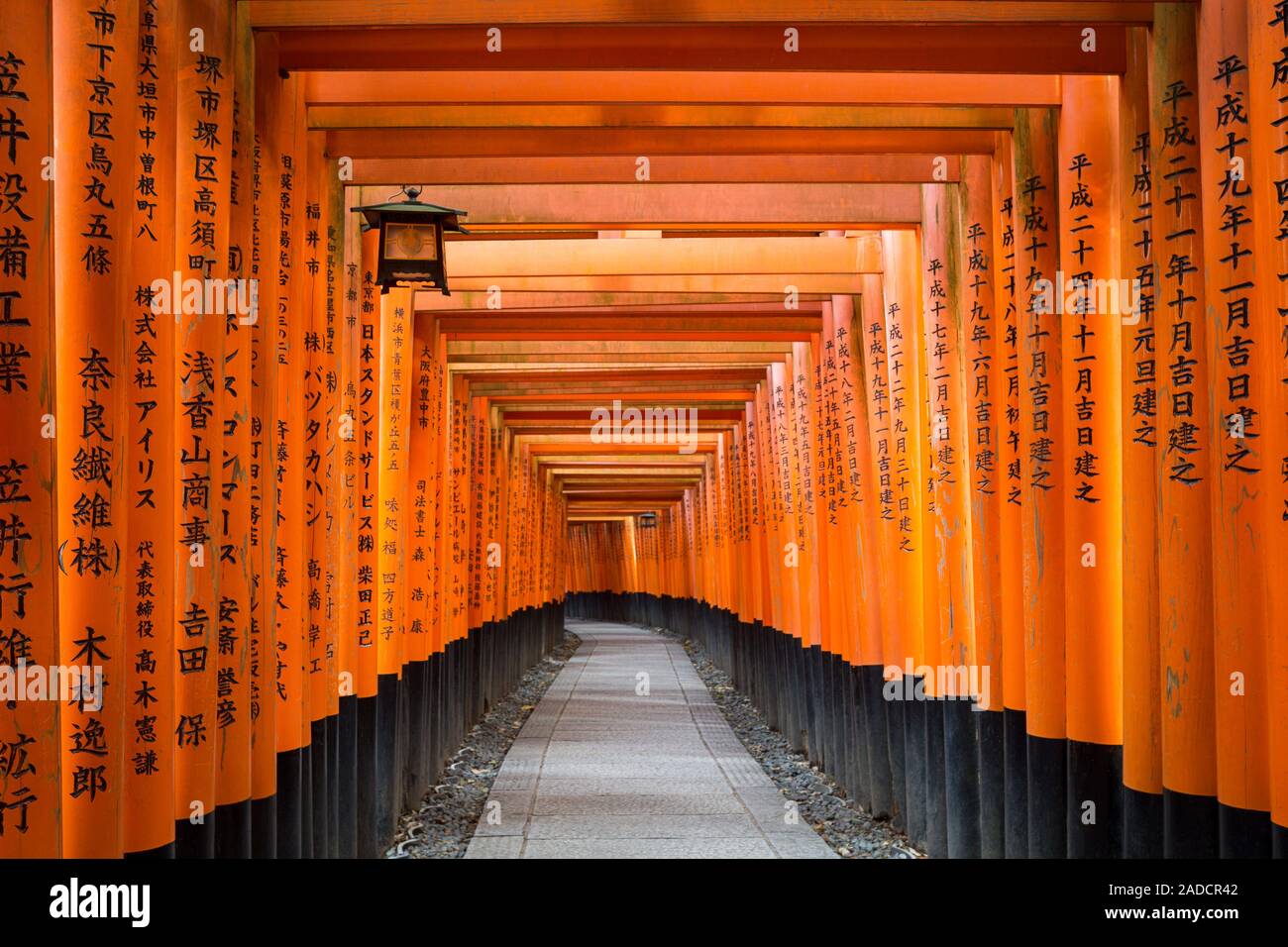 Walkway In Fushimi Inari Shrine In Kyoto High Resolution Stock Photography And Images Alamy Walkway In Fushimi Inari Shrine In Kyoto High Resolution Stock Photography And Images Alamy