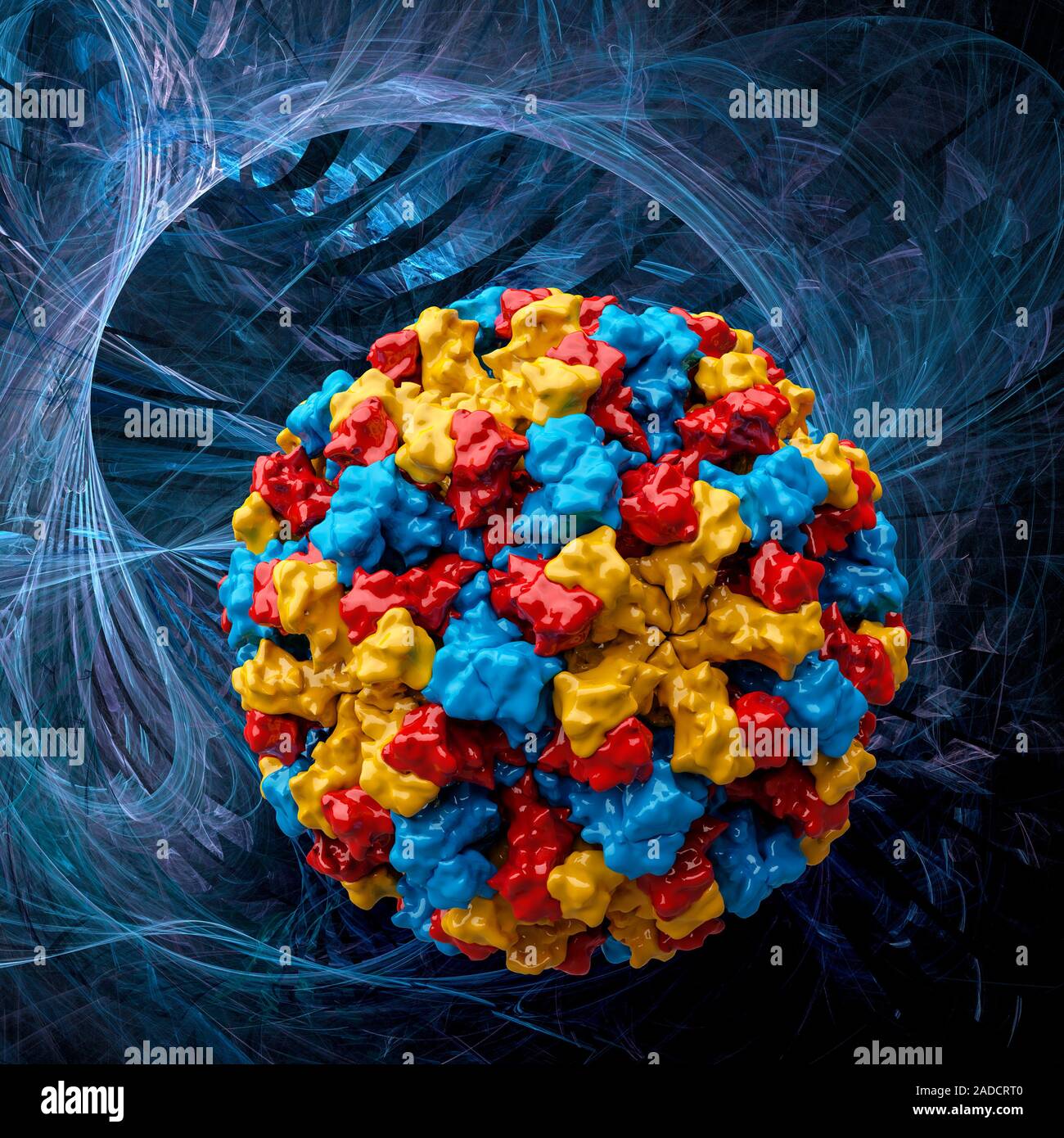 Norwalk virus capsid, molecular model. This norovirus, which causes a viral form of