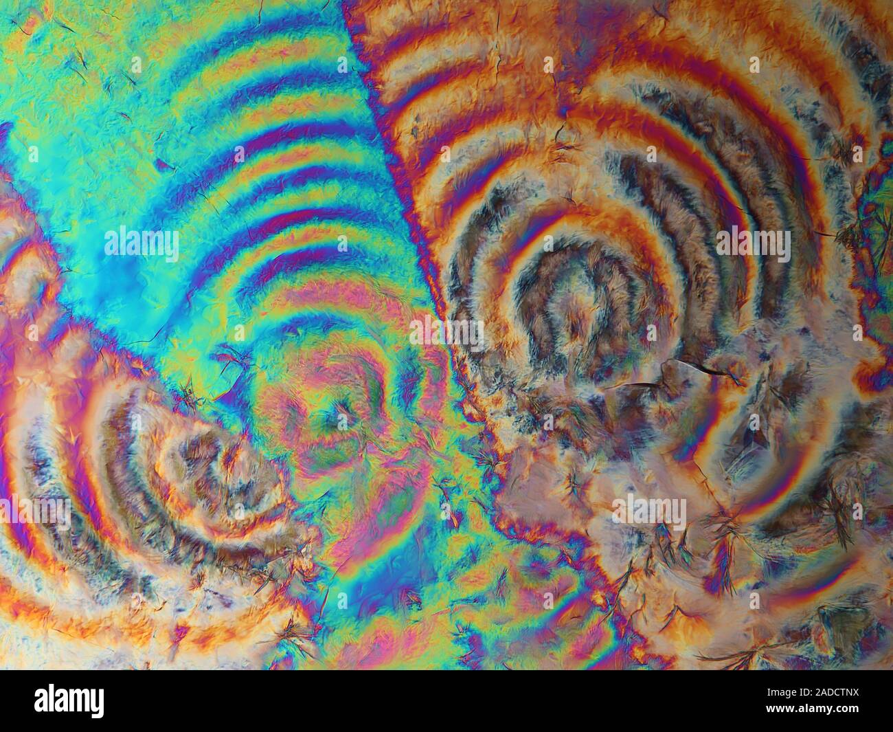 Polarised light micrograph of aspirin (acetylsalicylic acid) crystals. Aspirin is a drug that has been used since antiquity in the form of plants such Stock Photo