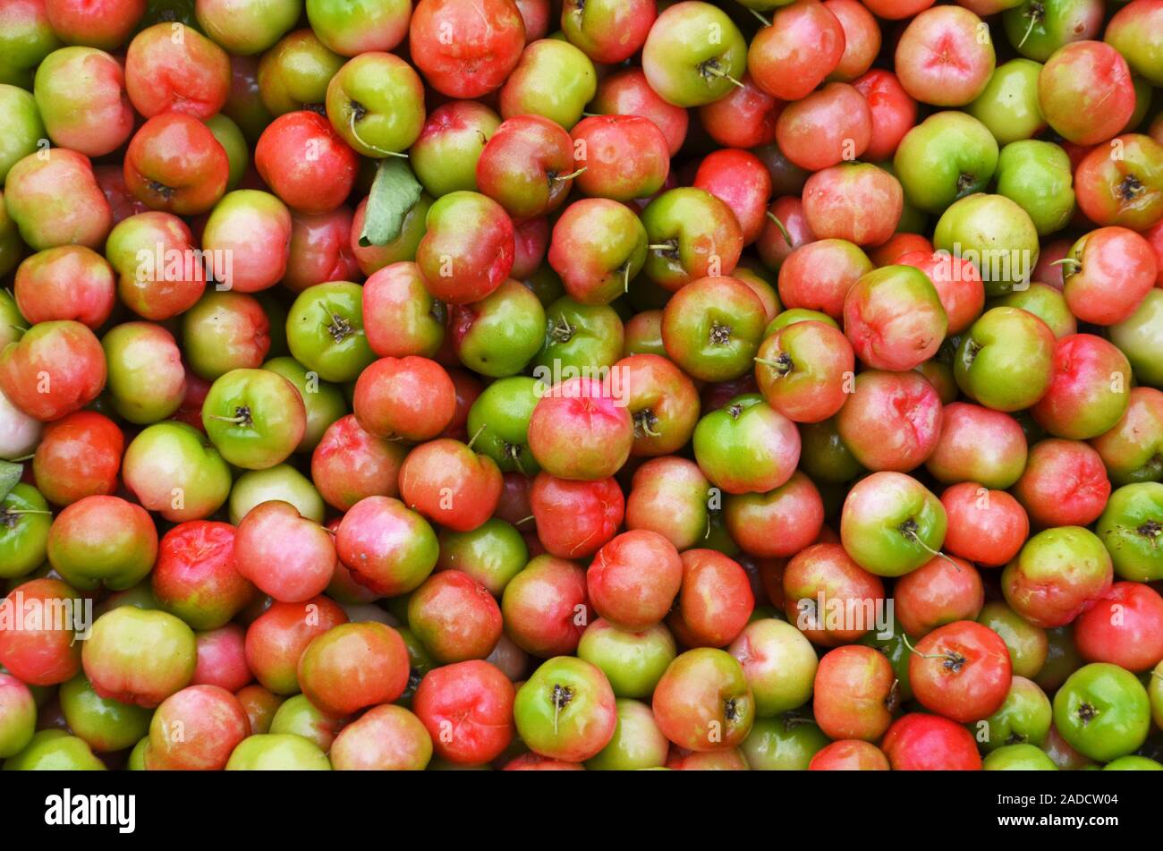 Pink crab apples for sale in the market in Chau Doc on the Mekong Delta