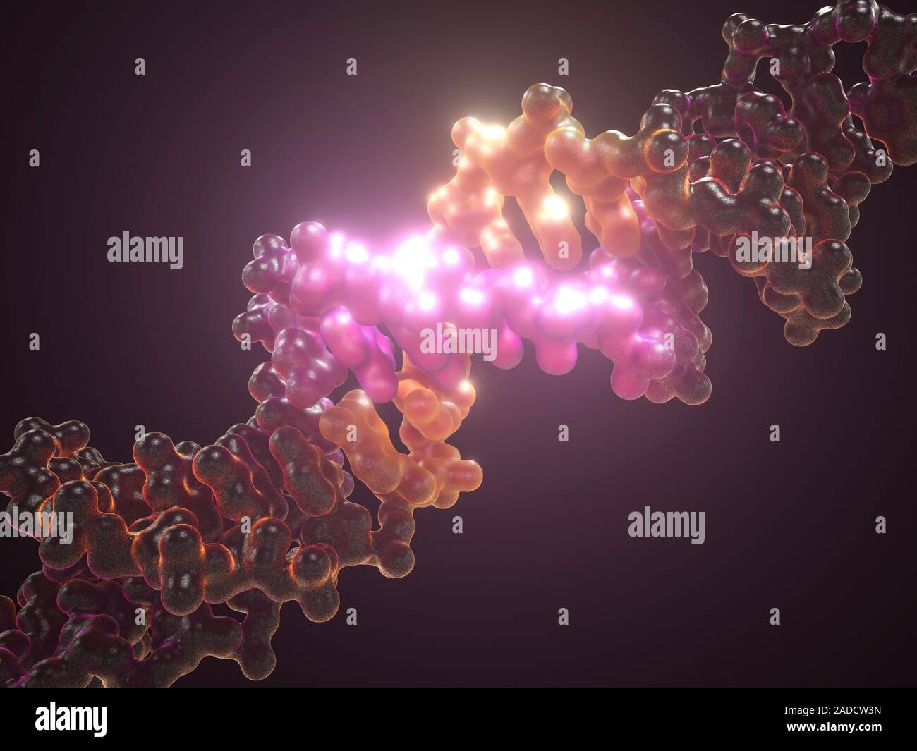 DNA editing, conceptual illustration. DNA (deoxyribonucleic acid) is ...