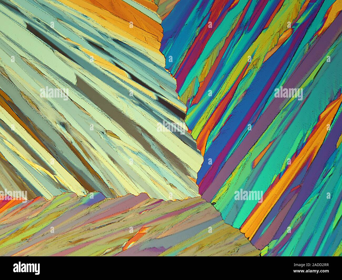 Polarised light micrograph of resorcinol. Resorcinol is a crystalline