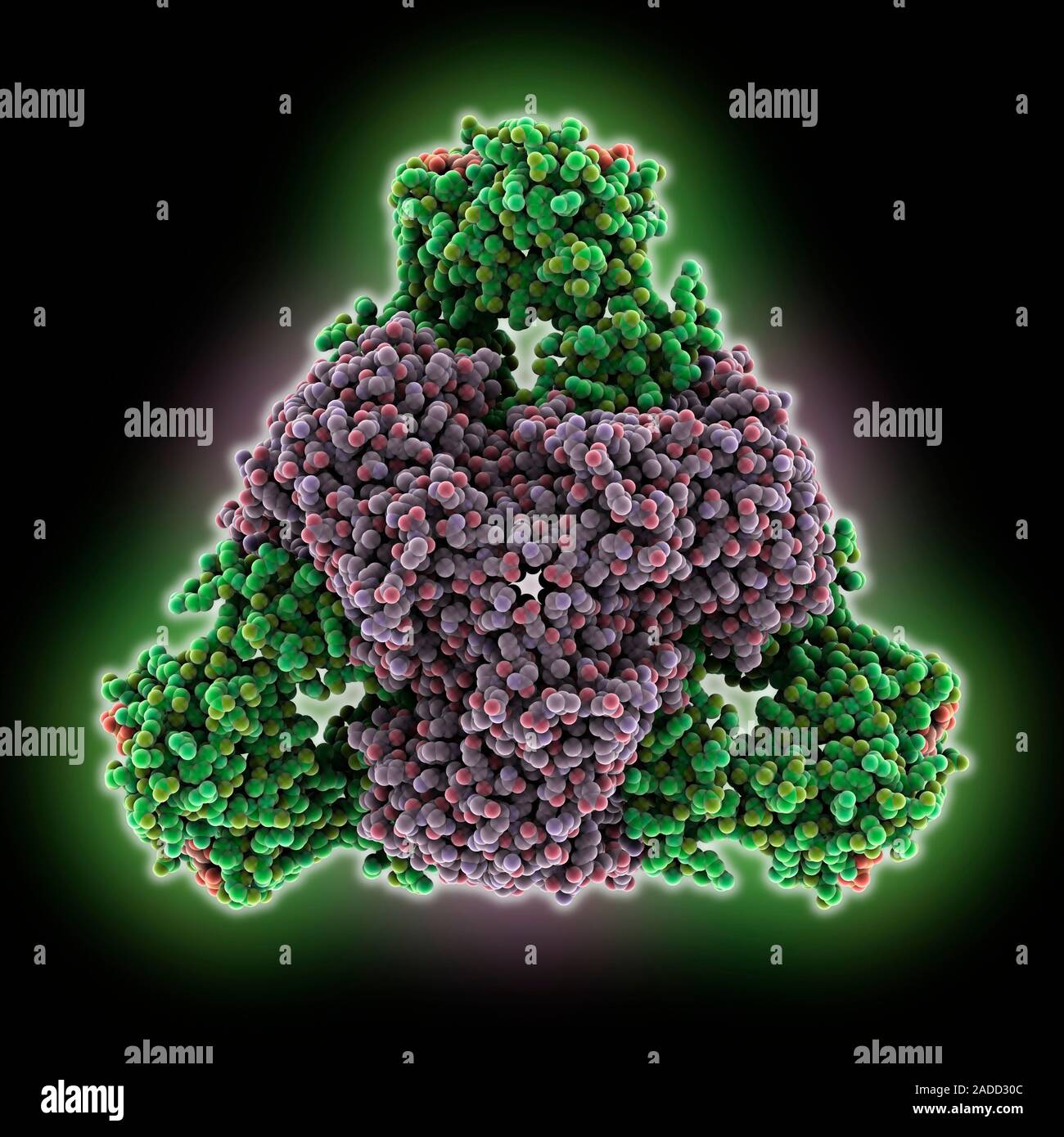 Aspartate transcarbamylase. Computer model showing the structure of