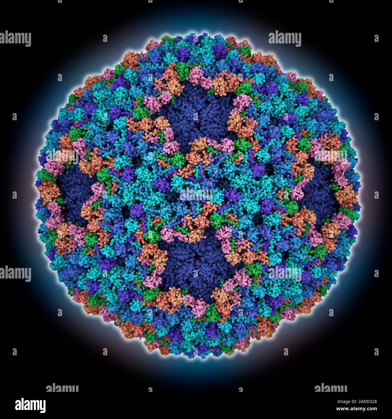 Bacteriophage Phi6 Virus Capsid Computer Model Showing The Structure Of A Double Stranded Rna Virus Bacteriophage Phi6 Capsid Stock Photo Alamy Bacteriophage Phi6 Virus Capsid Computer Model Showing The Structure Of A Double Stranded Rna Virus Bacteriophage Phi6 Capsid Stock Photo Alamy