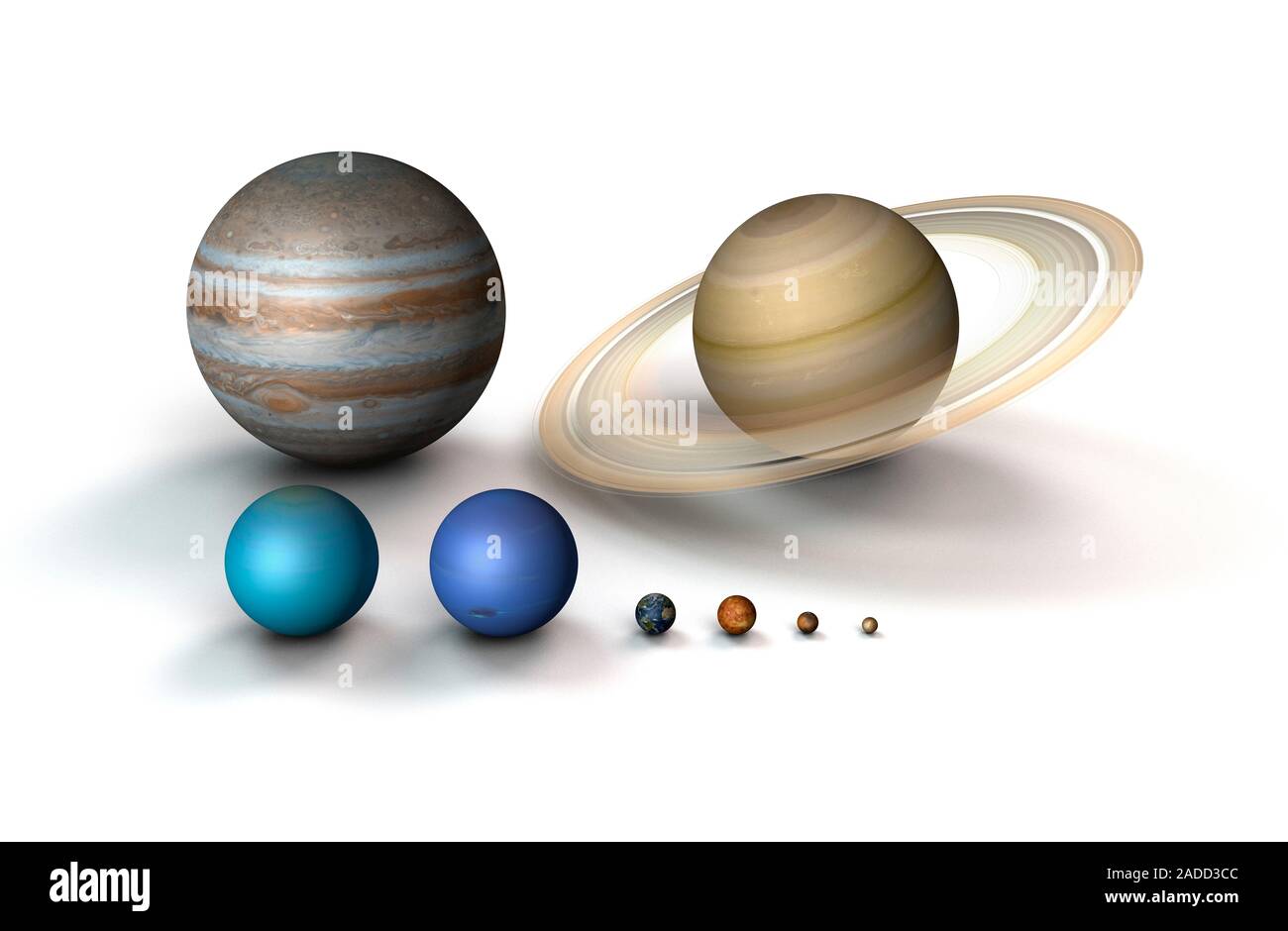 Planetary size comparison illustration of the eight planets that form