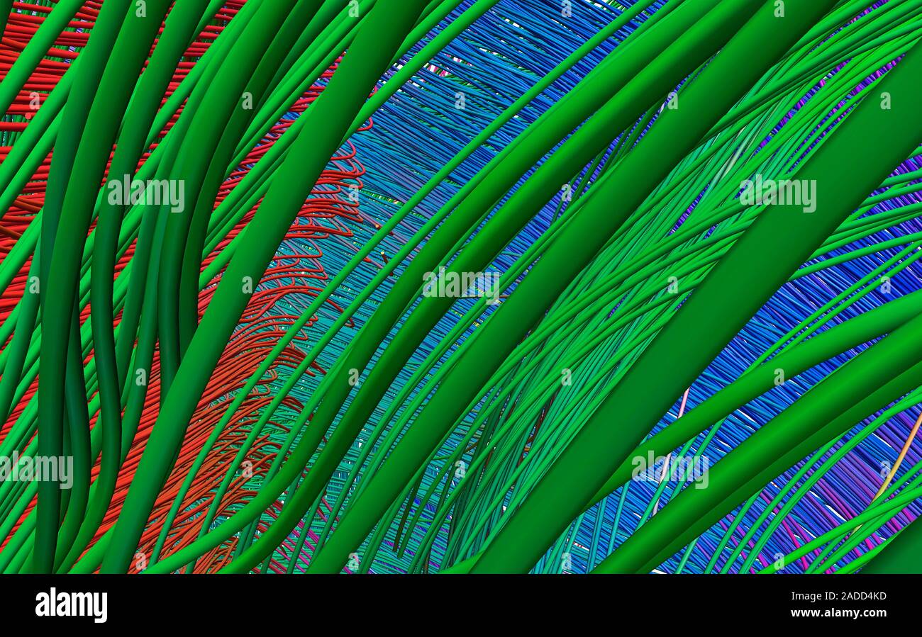 Diffusion tensor imaging (DTI) scan. Reconstructed brain white matter fibres of the fornix, which is involved in memory consolidation, and the corpus Stock Photo
